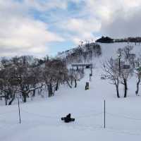 White snow, white chocolate, white Christmas