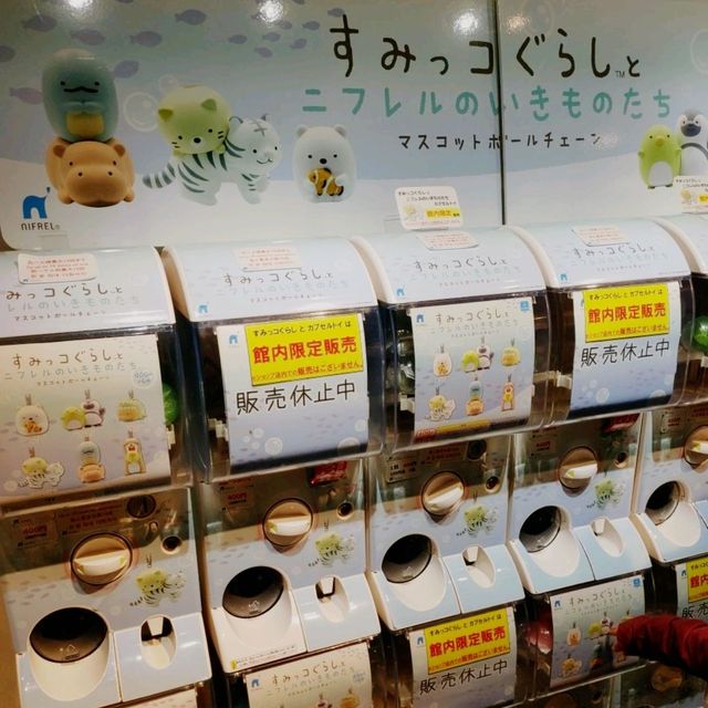 ニフレル　familiarコラボ