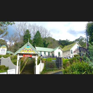 An alternative art town - Sassafras