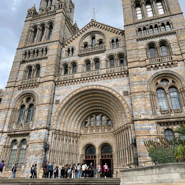 London Natural History Museum 🖼️