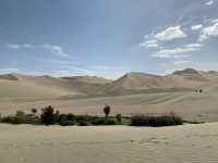 Huacachina, Oasis in Desert, Peru