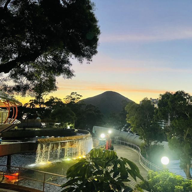 滑浪飛船退役-海洋公園 滑浪飛船退役-海洋公園