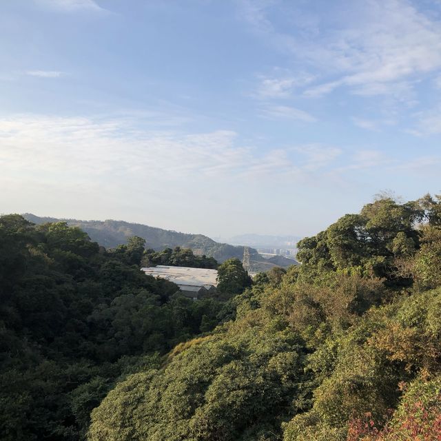 河背水塘