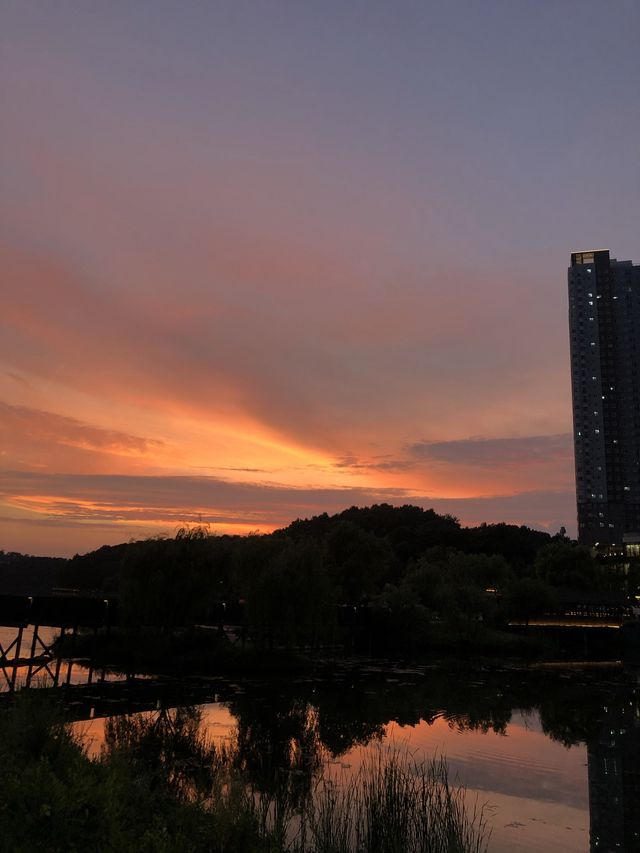 산책하기 좋은 노을맛집, 동탄호수공원 