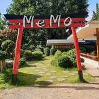 MeMo @แม่เมาะลำปาง