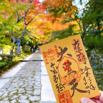 [Autumn foliage viewing] Kongorinji Temple, Koto Sanzan