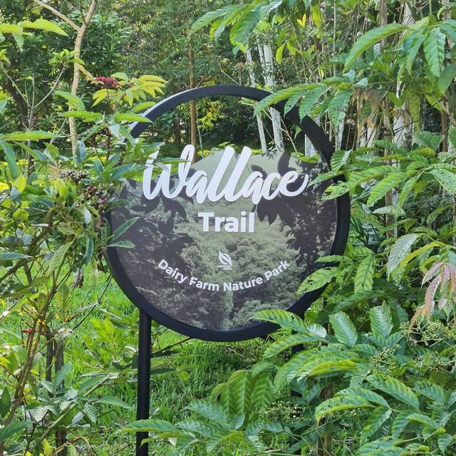 Wallace Trail