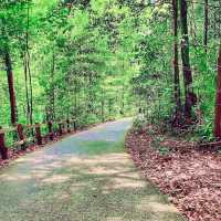 Bukit Timah Summit