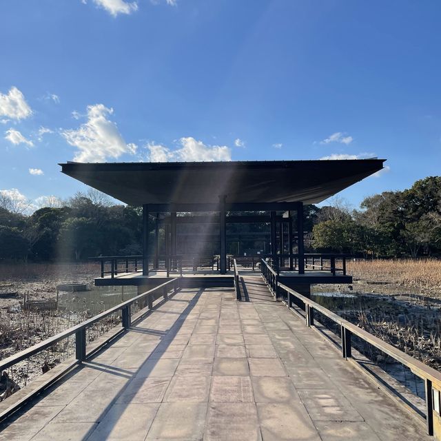 公園散策その③