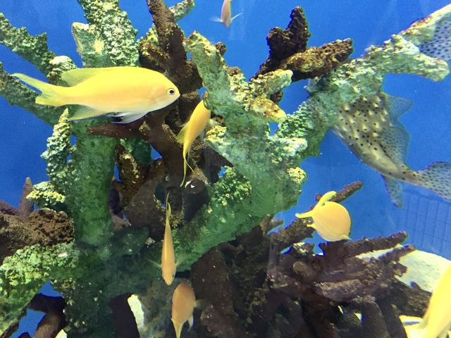 【福岡】水族館🐠マリンワールド海の中道