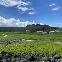 【沖縄･本島】晴れた日には与論島も見える沖縄最北端の岬✨