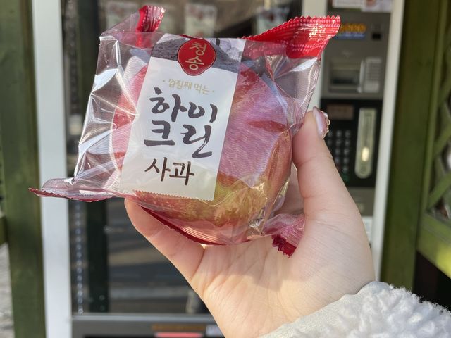 한국에서 꼭 가봐야하는 아름다운 여행지 _청송 주왕산 국립공원