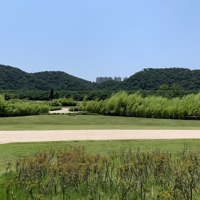 [울산 중구] 한적하고 고즈넉하게 여유를 즐길 수 있는, 정말 아름다운 공원🌳