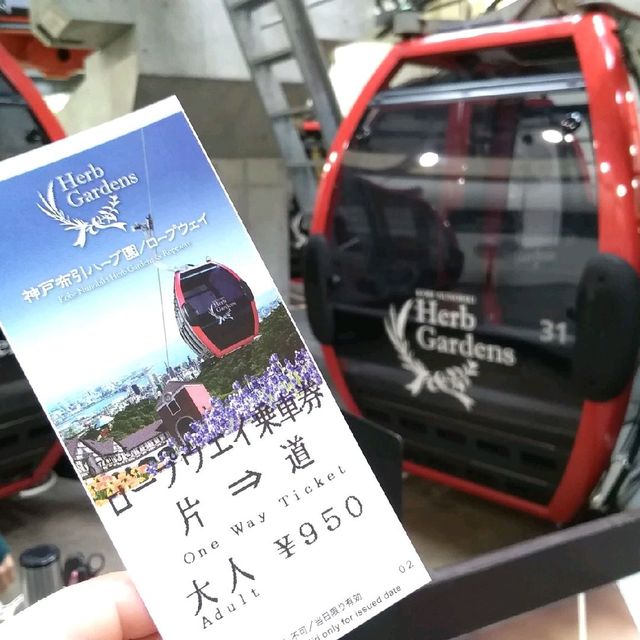 [神戸]短歌にも歌われた神戸の滝✨「布引ハーブ園」