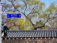경복궁 한국의 미를 느끼다!