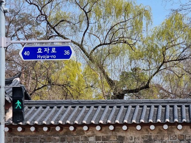 경복궁 한국의 미를 느끼다!