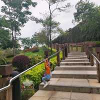 行到腳軟既荔枝角公園