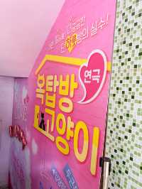 대학로 핫플 예매율1위 연극 '옥탑방고양이'
