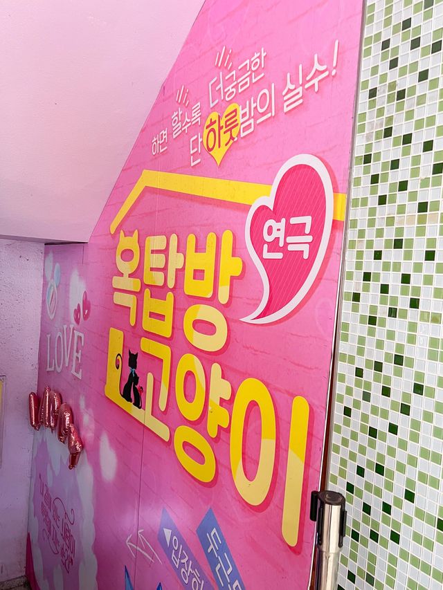 대학로 핫플 예매율1위 연극 '옥탑방고양이'