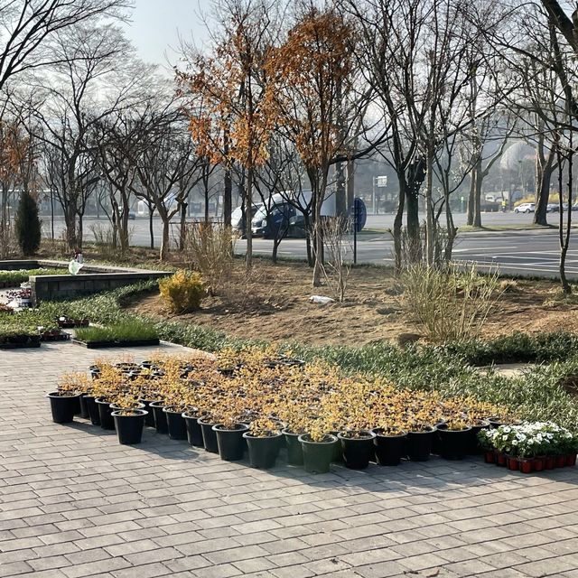 서울대공원에서 본격 꽃구경🌼