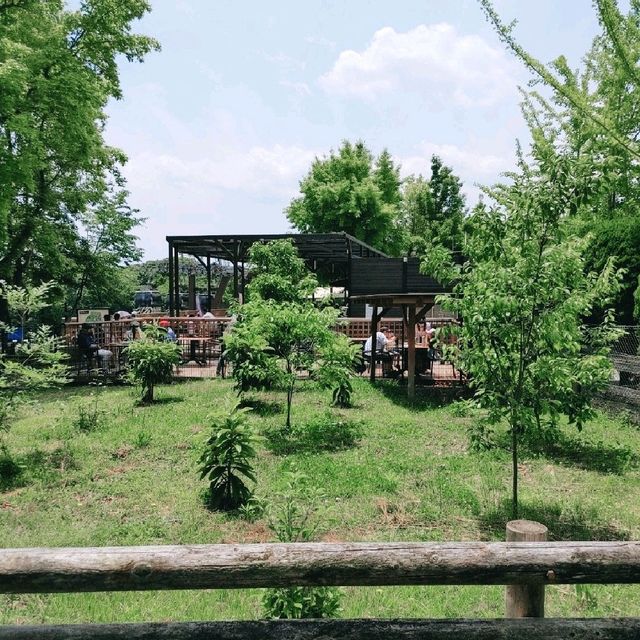 サファリパークのお土産店　姫路セントラルパーク