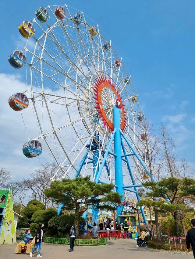 하루종일 놀 수 있는 경주랜드 하루종일 놀 수 있는 경주랜드