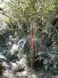 宜蘭礁溪｜林美石磐步道