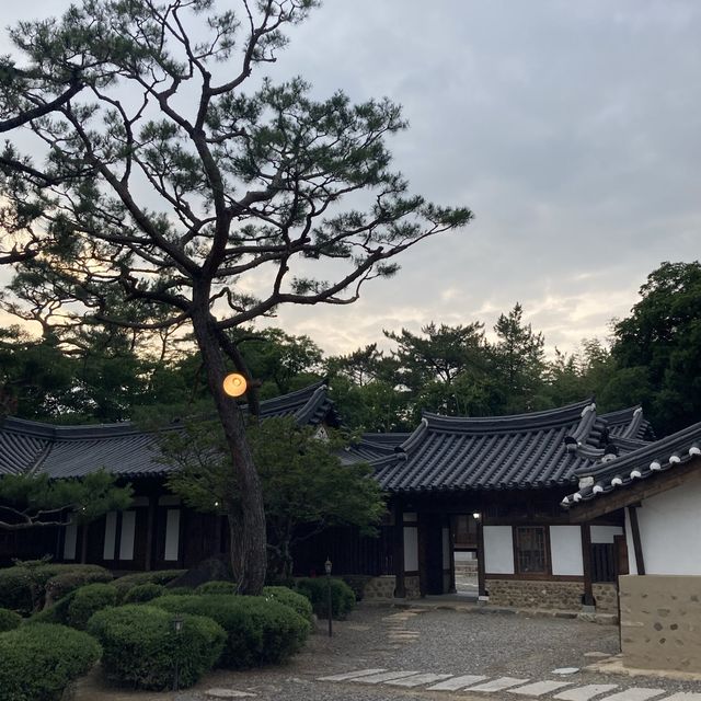 창녕 여행_우포늪, 관룡사