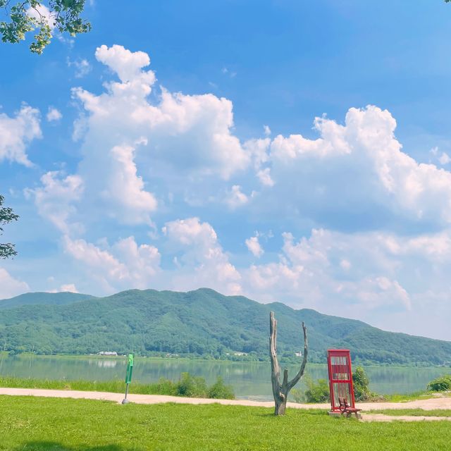 힐링하러 서울근교로 드라이브 가고싶다면?_양평 두물머리