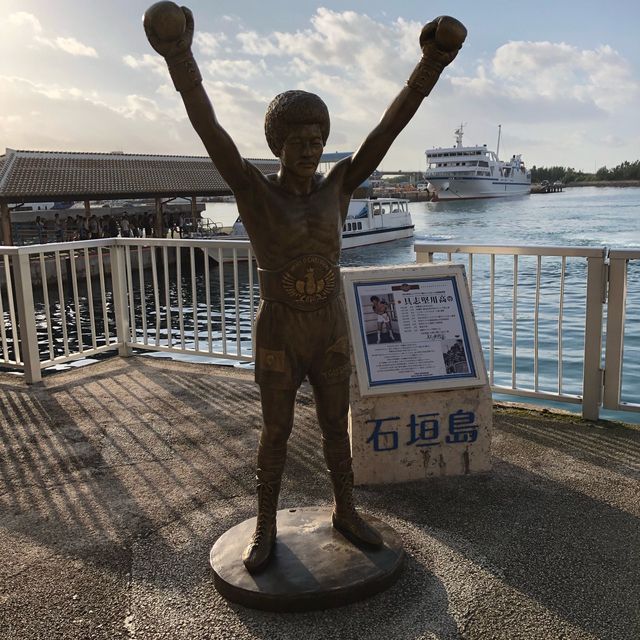 沖縄県石垣島 由布島水牛