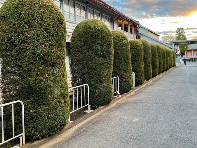 【群馬県富岡市】<日本世界遺産>富岡製糸場