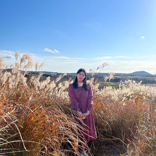 가을 제주 느끼고 싶다면 꼭 들러야 할 곳, 제주 새별오름🍂