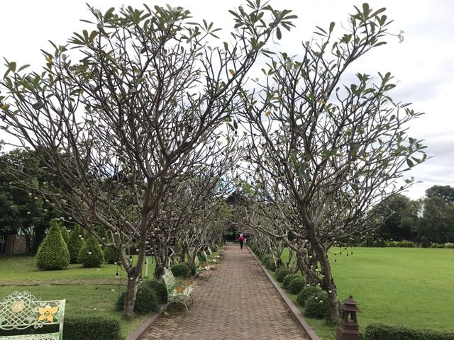 เมืองลับแล