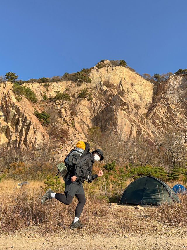 한국의 세렝게티에 오신 것을 환영합니다🦒