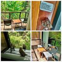 Srilanta Resort and Spa รีสอร์ทสุดหรูบนเกาะลันตา 