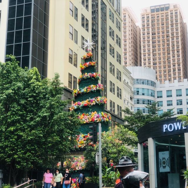 Season Feels at Eastwood City