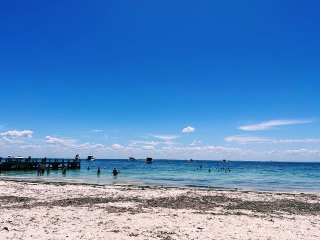 Rottnest Island!😎 Beachin’ The Beach!🤪