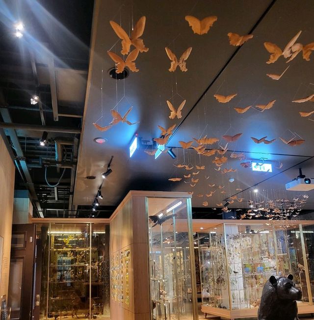 台灣歷史博物館