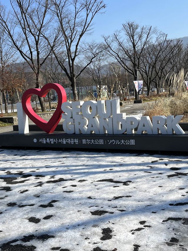 ［雪地天空纜車］(⁎⁍̴̛ᴗ⁍̴̛⁎）體驗首爾嘅冬天氣息
