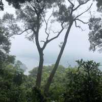 桃園 溪洲山 
