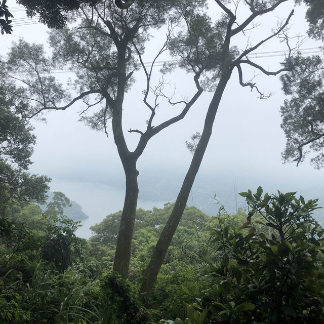 桃園 溪洲山 