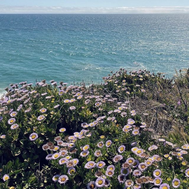 Breathtaking view