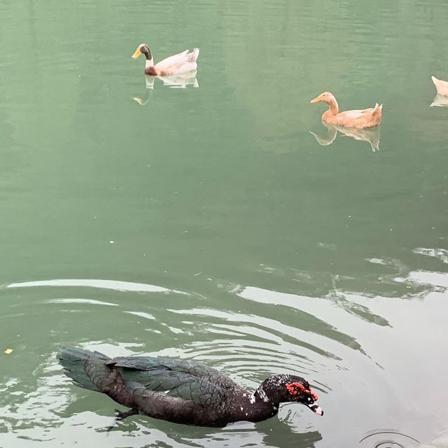 我是「旅」人之下一站幸福