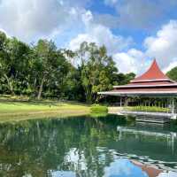 MacRitchie Reservoir