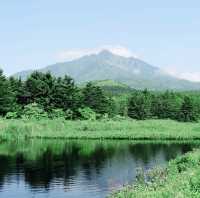 オタトマリ沼散策中にリスと遭遇！