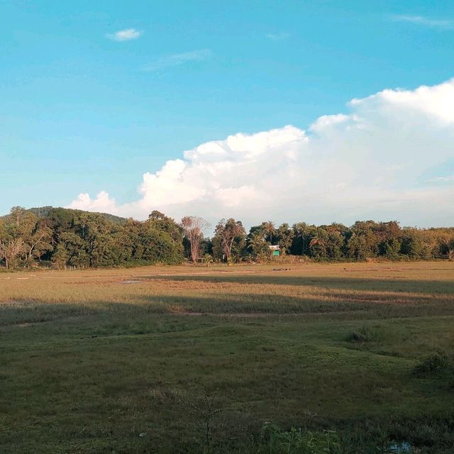บ้านเกิดฉันสวยจัง : รักนะเกาะสุกร