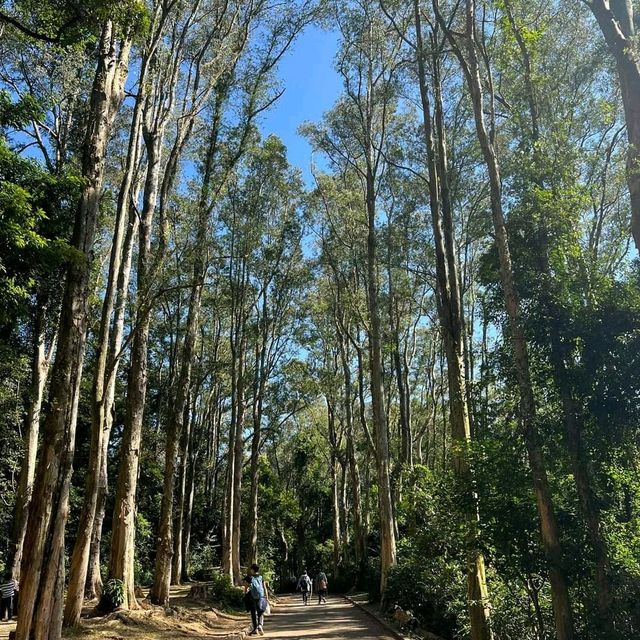 行山限時美景