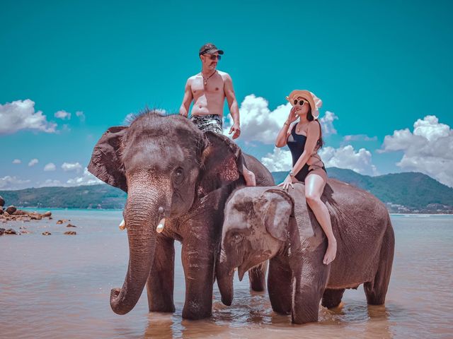 Elephant swims at lucky beach, Tri Trang, Phuket 