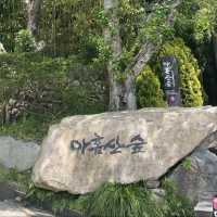 [부산] 좋은 공기마시며 가볍게 산책할 수 있는 곳🎋