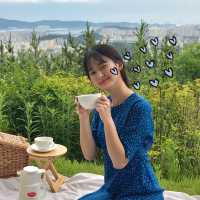 나만 알고 싶은 도심 속 피크닉 명소, 울산 "함월루"